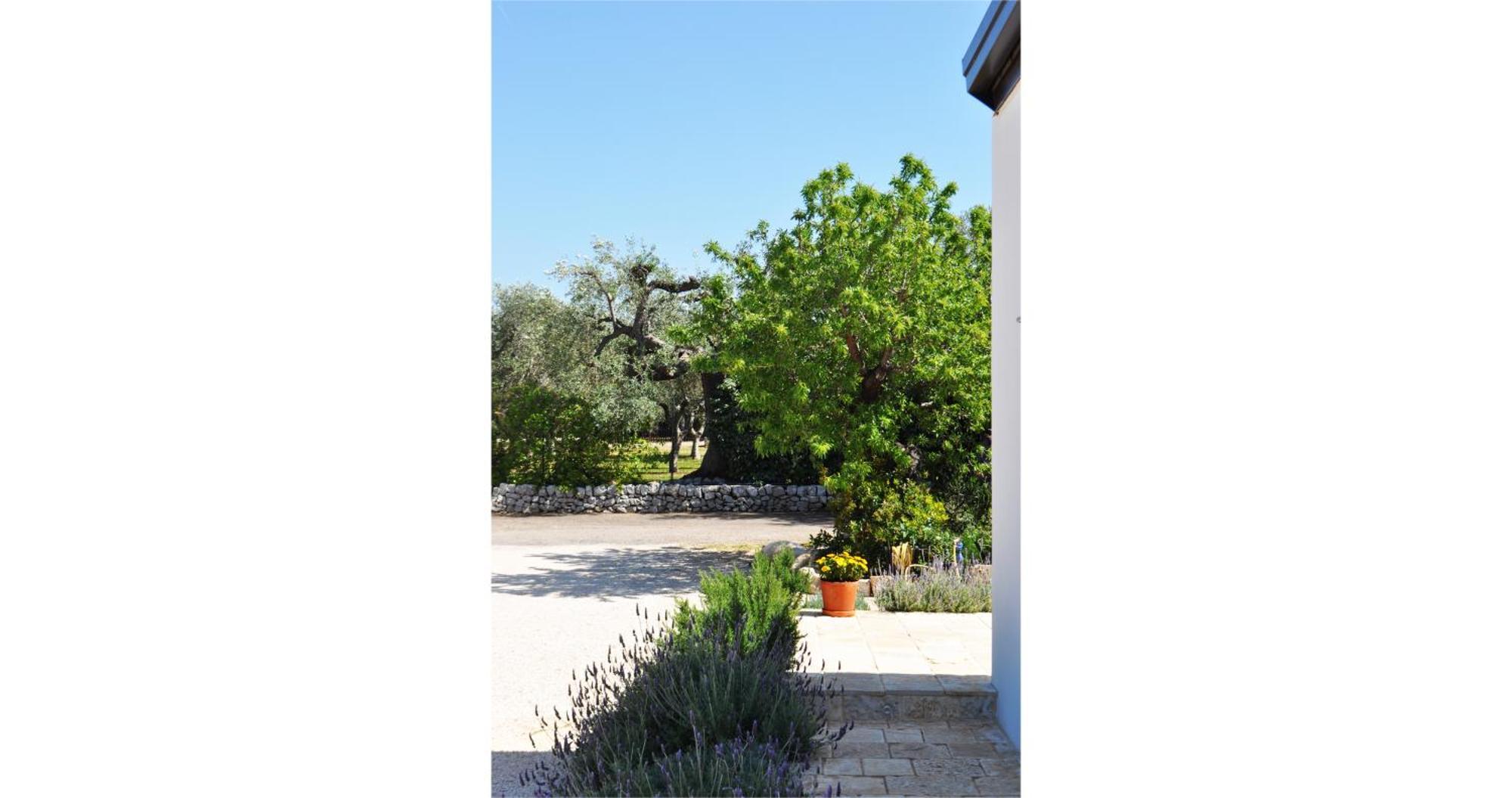 Casale Petrarolo Bed & Breakfast Monopoli Eksteriør bilde