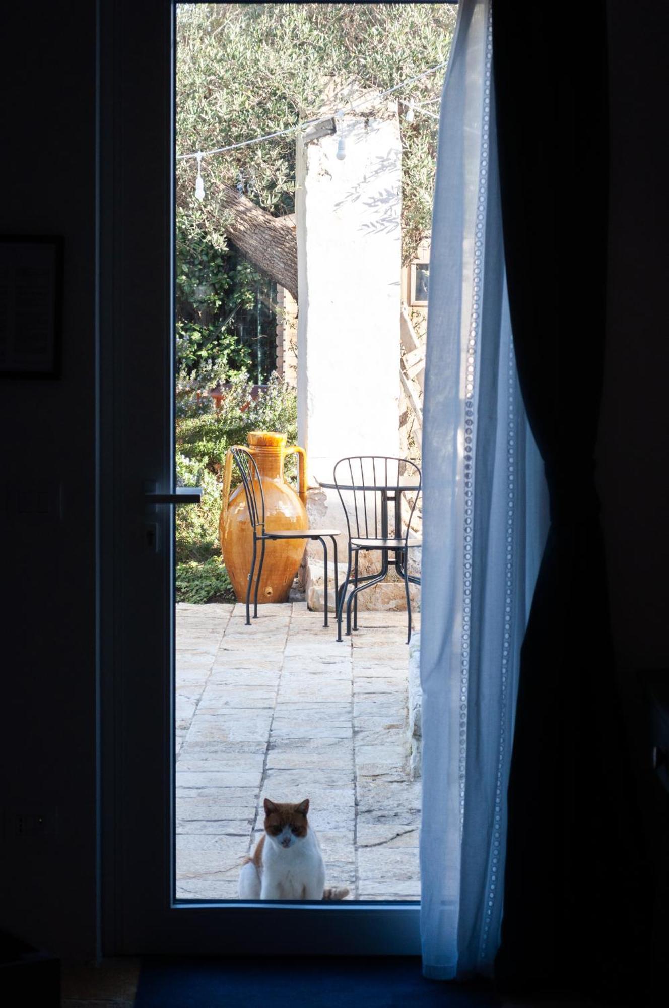 Casale Petrarolo Bed & Breakfast Monopoli Eksteriør bilde